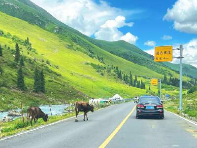 Drive through Duku Highway