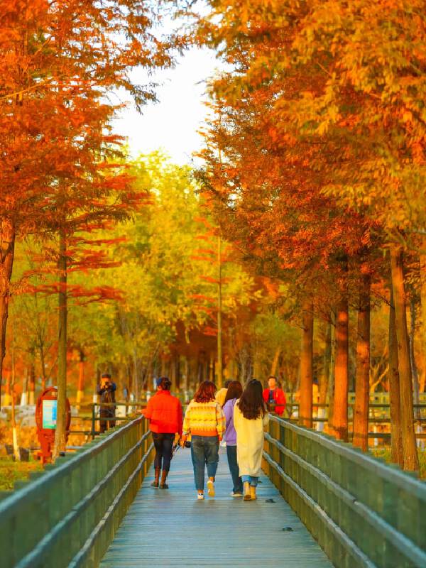 Jinan · Mingshui Ancient Town · Spring Water Show