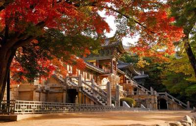 ✨Option 1: Gyeongju Heritage Escape