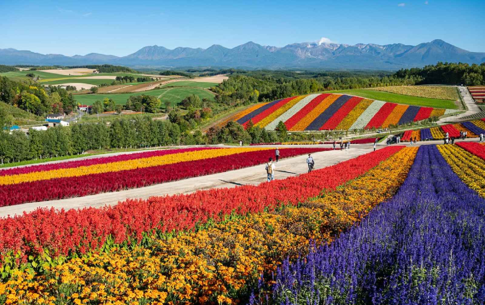 8D6N Wonderful Hokkaido