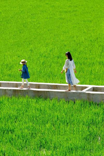 Golden Fields Experience