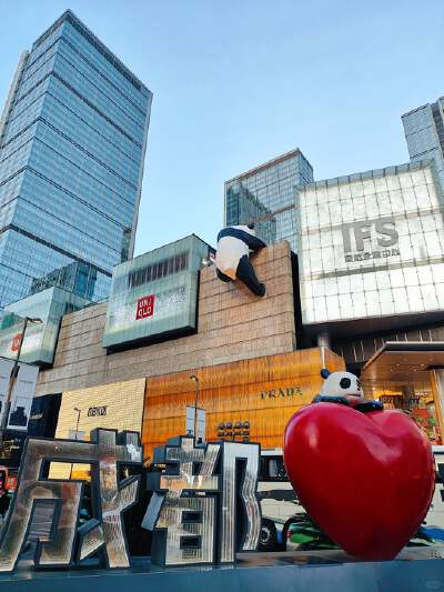 IFS Giant Panda Climbing Wall