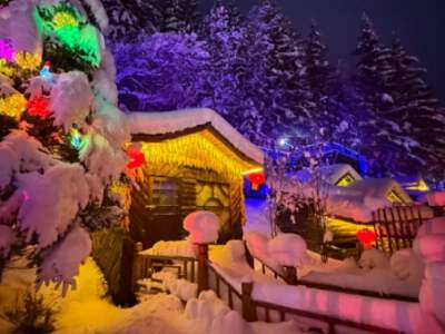 Snow Mushroom Night Scenery