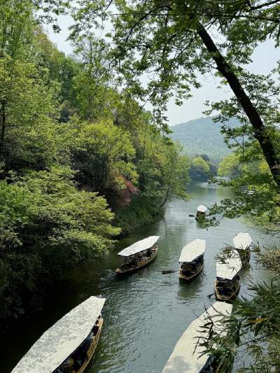 Tea Garden