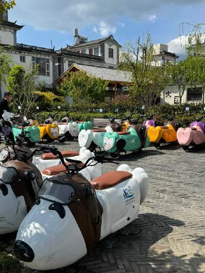 Horse Cart Ride with Music
