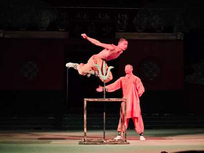 Shaolin Martial Arts Performance