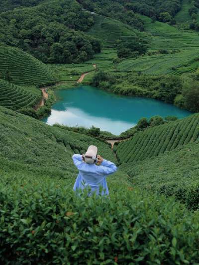 Tea Garden