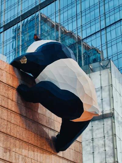 IFS Giant Panda Climbing Wall