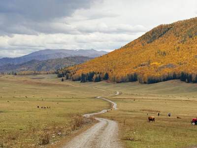 Horse Ride to Meili Peak