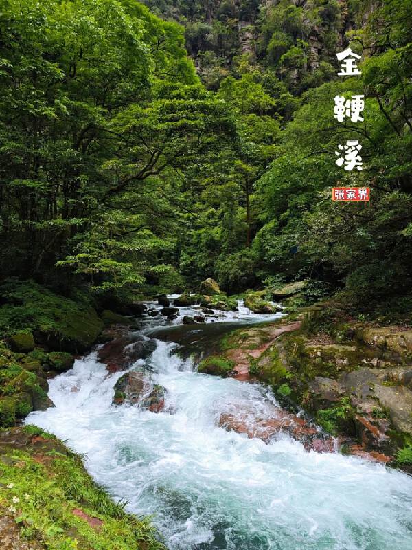 Zhangjiajie