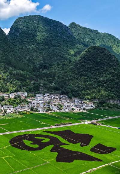 Wanfenglin (Ten Thousand Peaks Forest) (includes eco-friendlyshuttle)