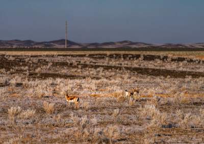 Pass by Kalameili Ungulate Nature Reserve