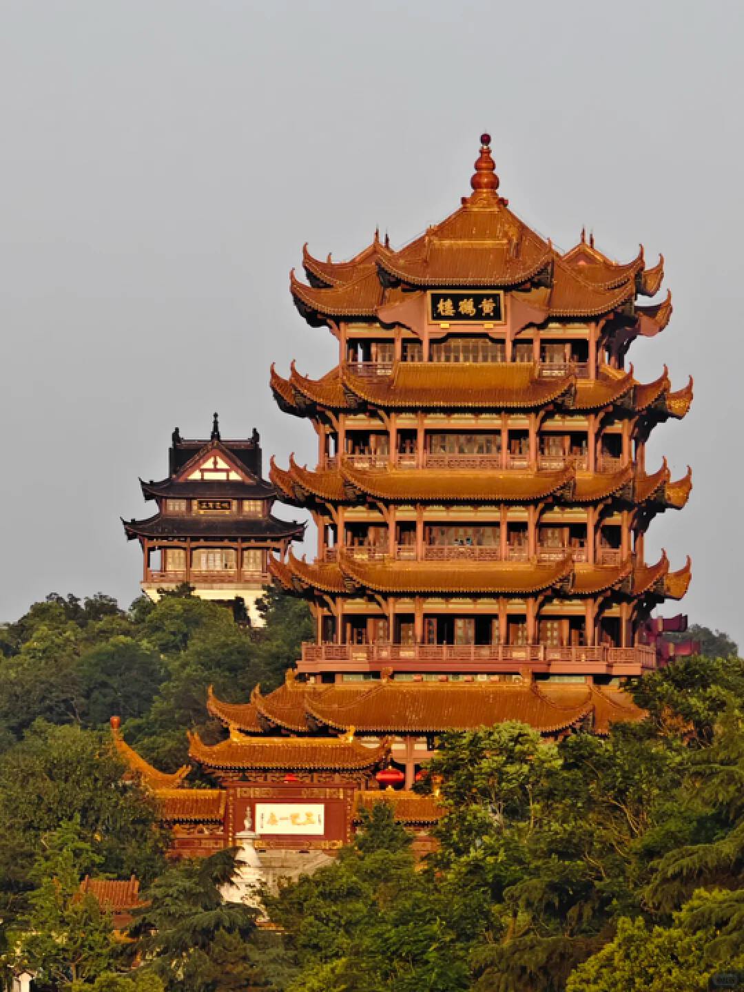 8D7N Wuhan Huacheng