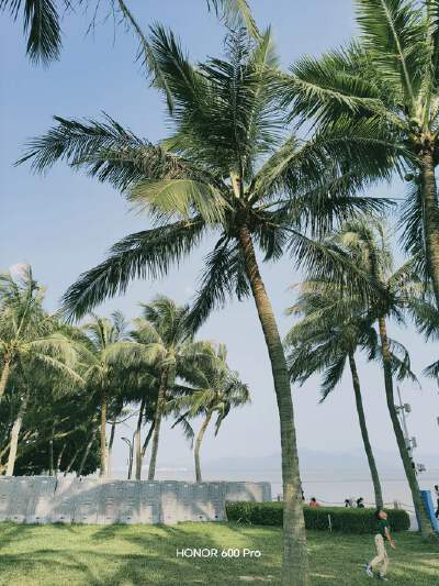 Shenzhen Bay Park