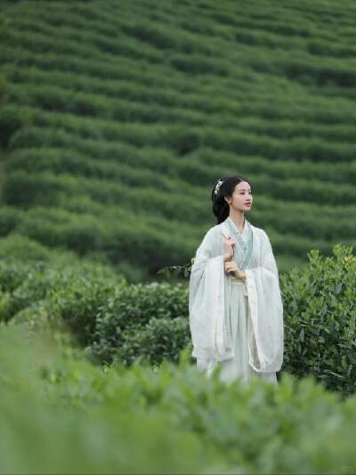 Longjing Tea Garden