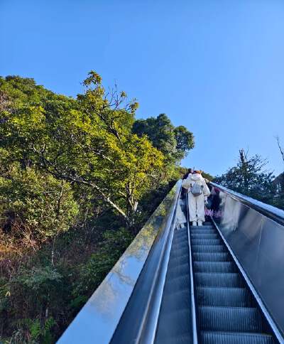 Mangshan Five-Finger Peak Scenic Area (Compulsory Tour)