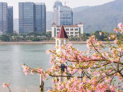 Hengqin Flower Corridor (Flowering period cannot be guaranteed)