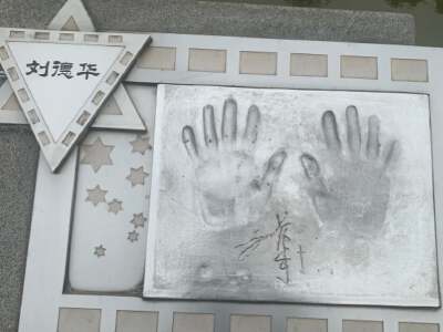 Celebrity Park