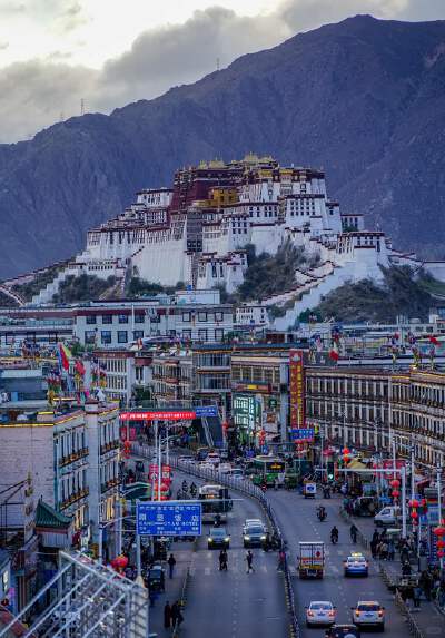 Potala Palace (with audio guide)