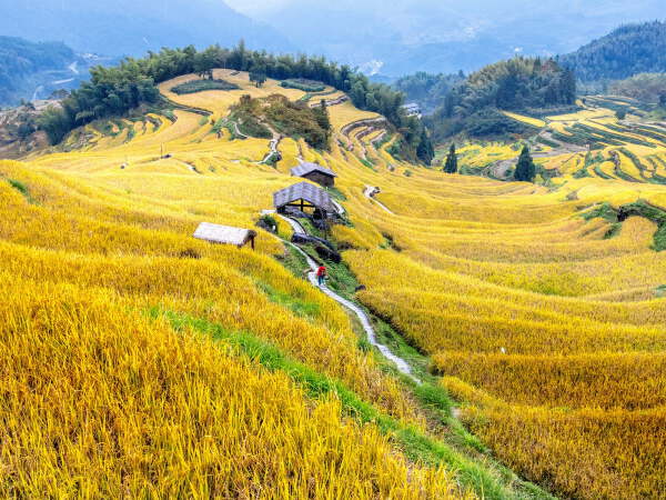 Sanjiang > Longsheng > Yangshuo