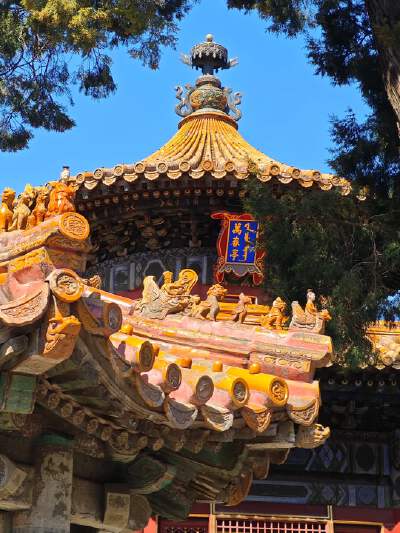 The Palace Museum