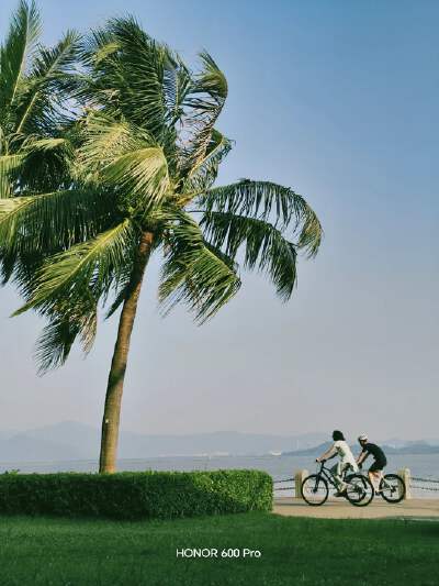 Shenzhen Bay Park