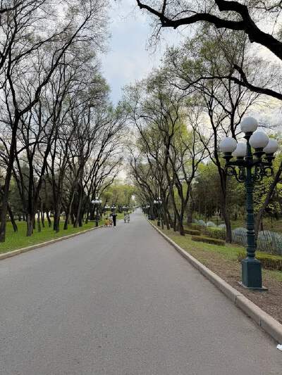 Sun Island Park (includes electric cart ride)