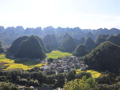 Wanfenglin (Ten Thousand Peak Forest) (incl. shuttle cart)