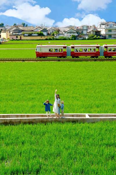 Golden Fields Experience
