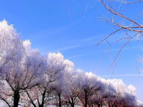 Jilin   > Harbin (Approx 4 hrs drive)