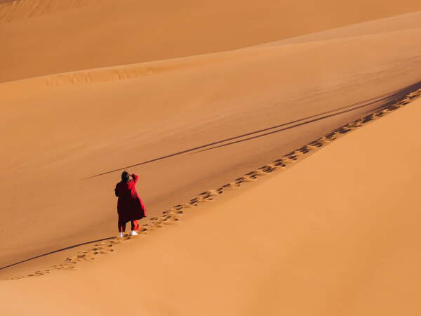 Zhongwei · Shapotou Desert Experience