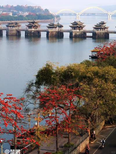 View of Xiangzi Bridge (with the option to go on the bridge)