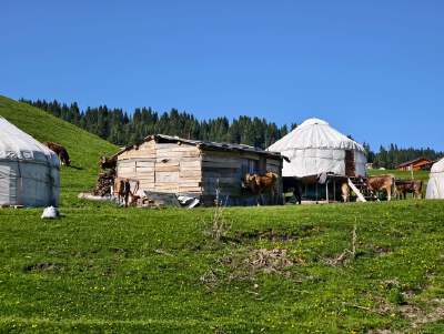 Kazakh Homestay Visit