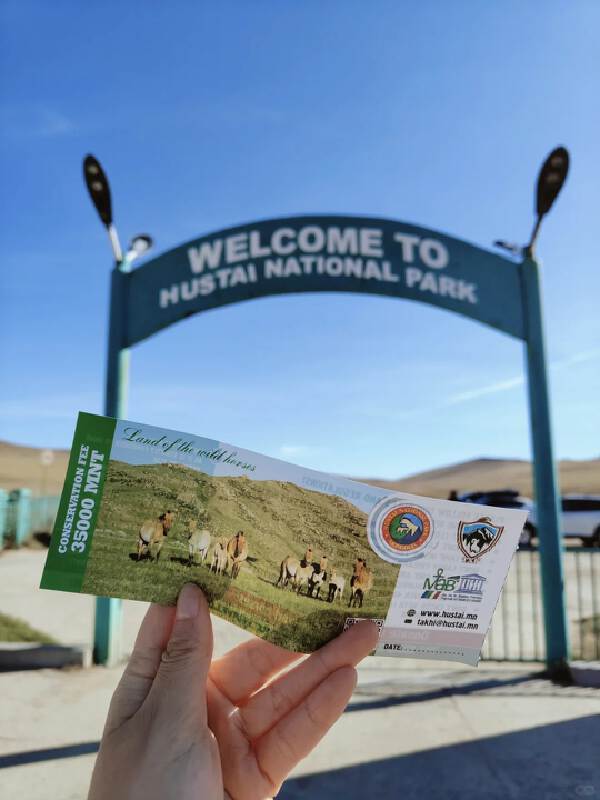 Natural Hot Spring Base > Khustai National Park (400 kilometers, 6 hours)