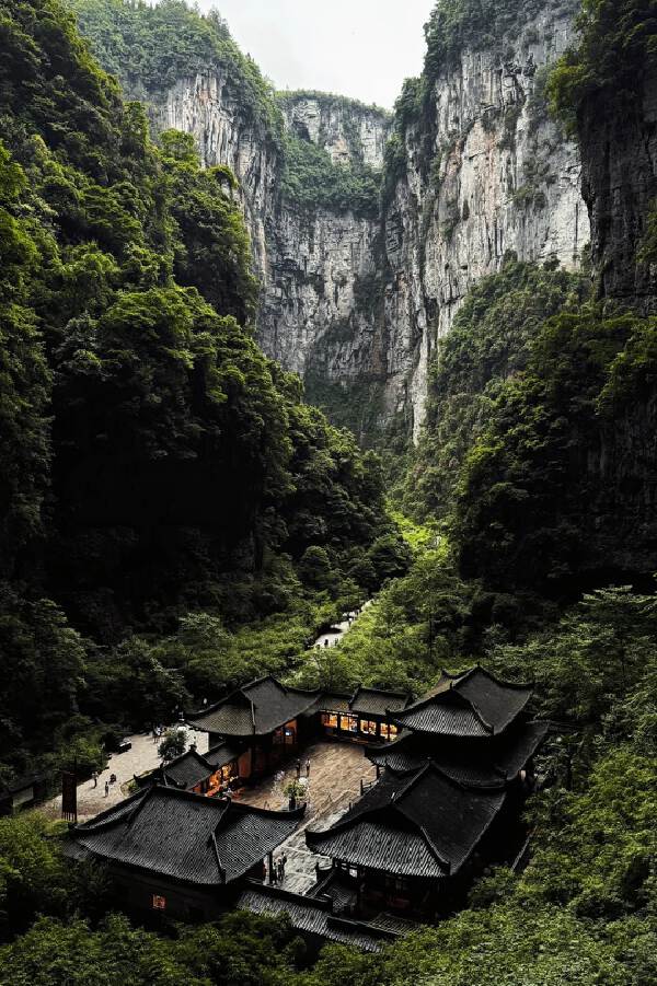 Wulong