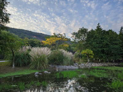 Changguangxi Wetland Park