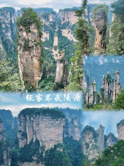 Avatar Filming Location