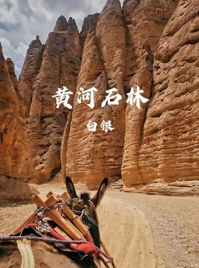 Yellow River Stone Forest (includes shuttle bus, electric car, cruise, and donkey cart):