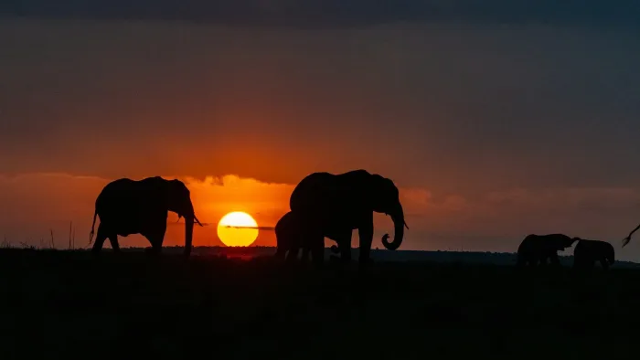 Africa