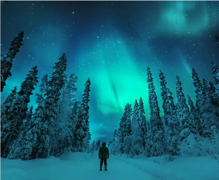 Travel to Other Adventures - Premium travel experiences