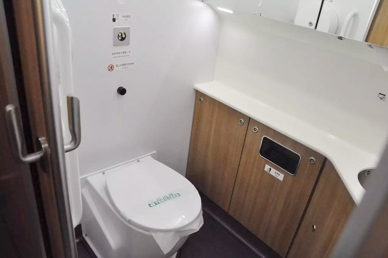 Western Toilets on the Train