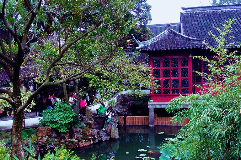 Beautiful Scenery in the Garden