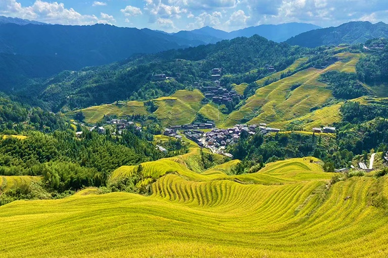 Longji Rice Terrace