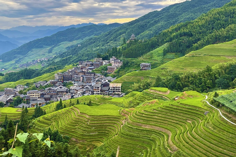 Longji Rice Terrace