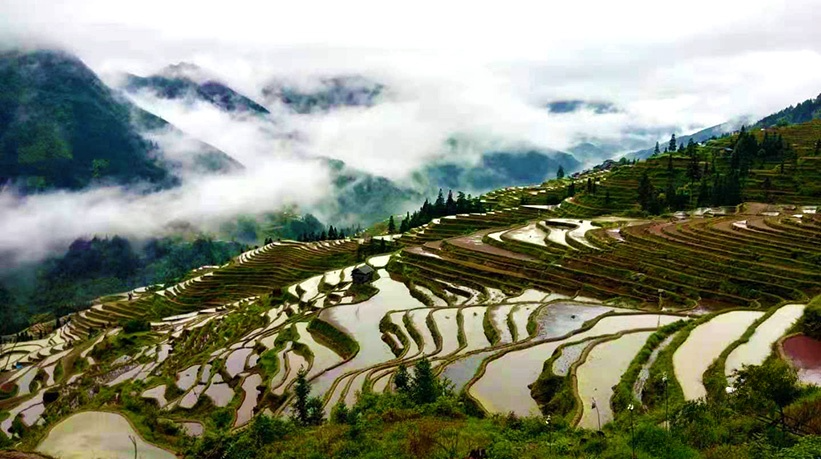 Longji Rice Terrace