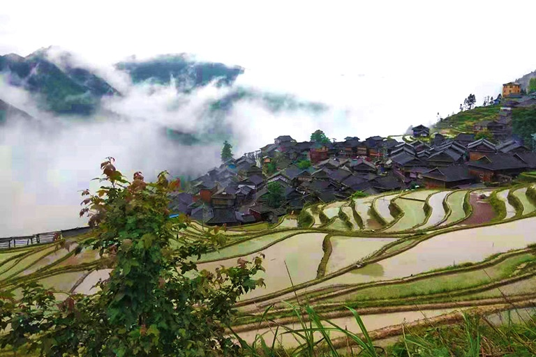 Longji Rice Terrace