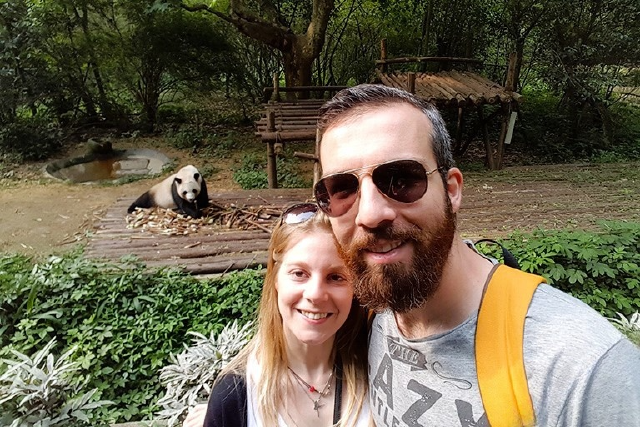 Giant panda at the Chengdu research base