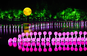 Top 7 Impression Shows