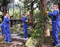 Panda Loving Care 2025