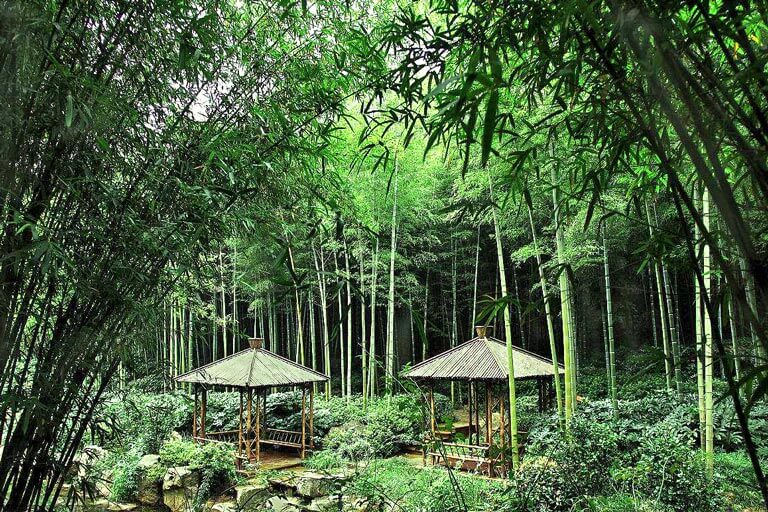 Cottage Pavilions in Anji Bamboo Forest